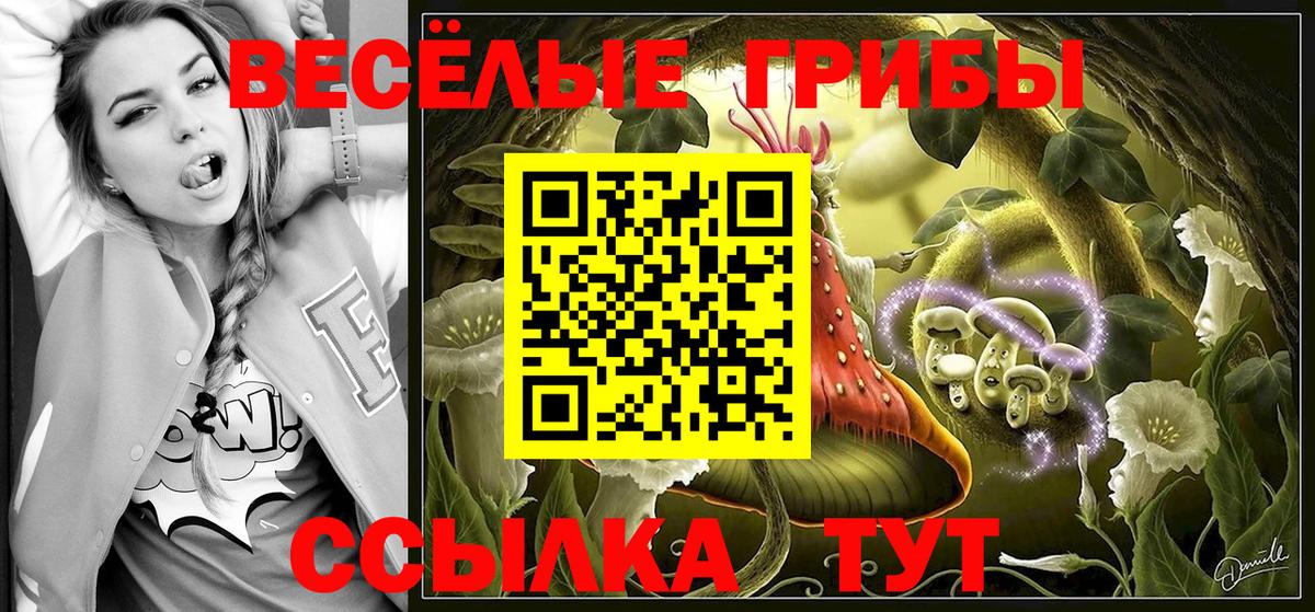 Псилоцибиновые грибы GOLDEN TEACHER  Вход с VPN  Махачкала 